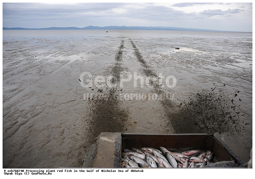 ���, �����������, ����, ������� ����, ����, �����, �������� ����, ����� �������, ����