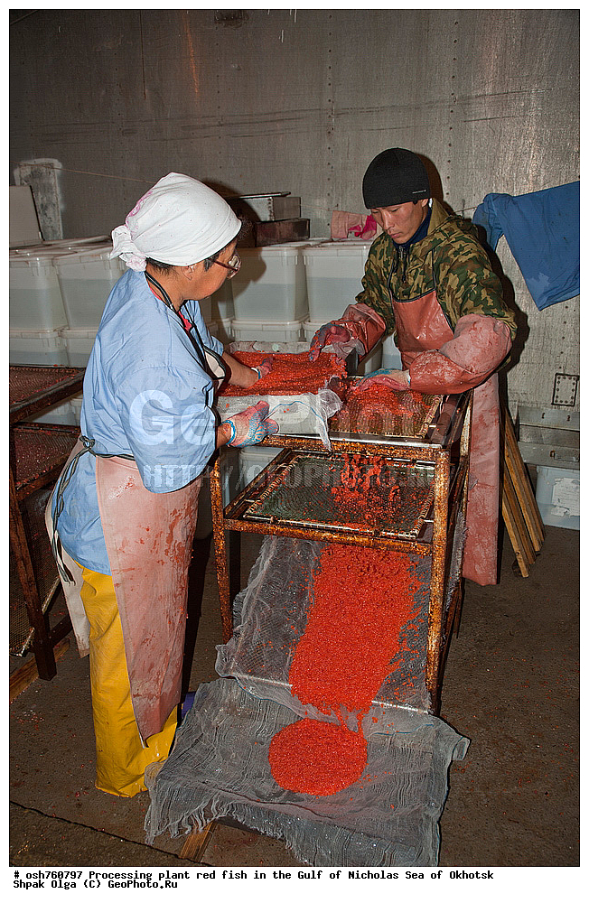 ���, �����������, ����, ������� ����, ����, �����, �������� ����, ����� �������, ����