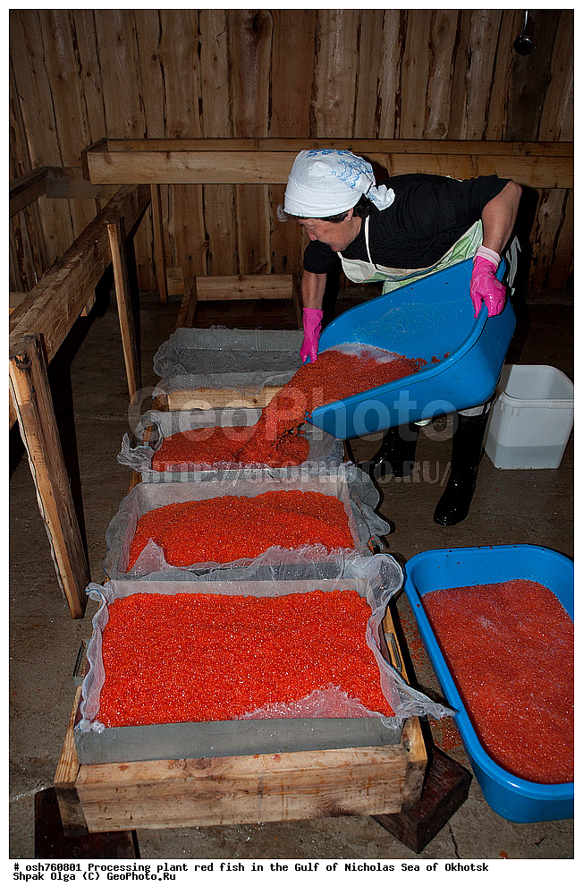 ���, �����������, ����, ������� ����, ����, �����, �������� ����, ����� �������, ����