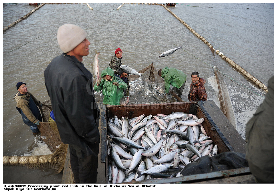 ���, �����������, ����, ������� ����, ����, �����, �������� ����, ����� �������, ����