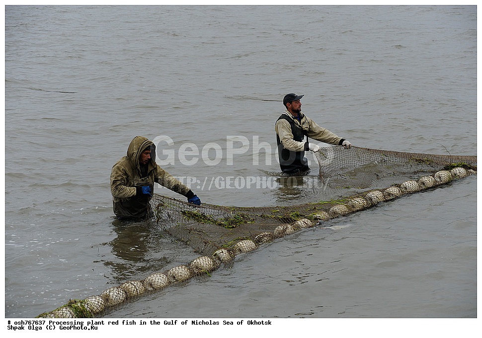 ���, �����������, ����, ������� ����, ����, �����, �������� ����, ����� �������, ����