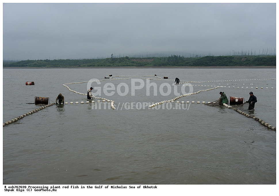 ���, �����������, ����, ������� ����, ����, �����, �������� ����, ����� �������, ����