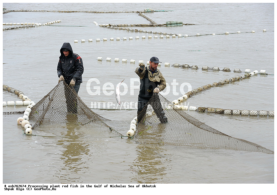 ���, �����������, ����, ������� ����, ����, �����, �������� ����, ����� �������, ����