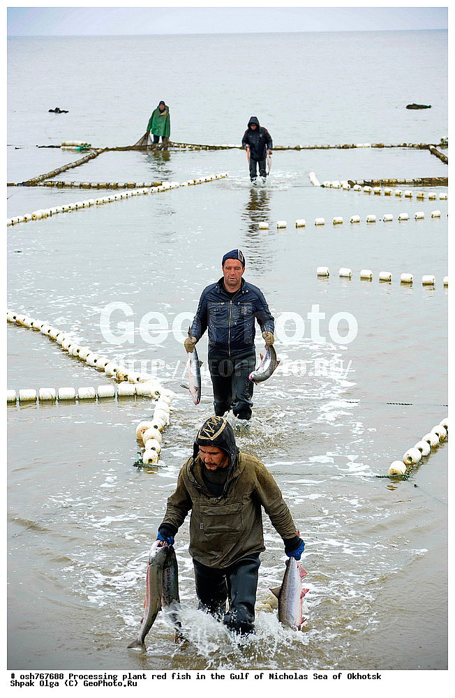 ���, �����������, ����, ������� ����, ����, �����, �������� ����, ����� �������, ����