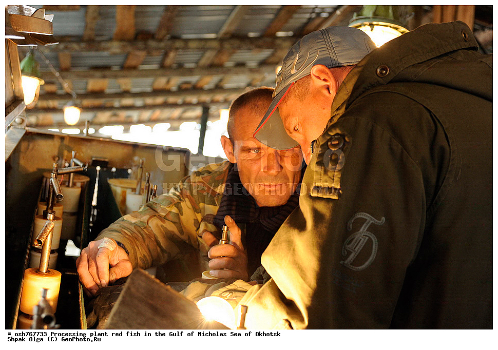 ���, �����������, ����, ������� ����, ����, �����, �������� ����, ����� �������, ����