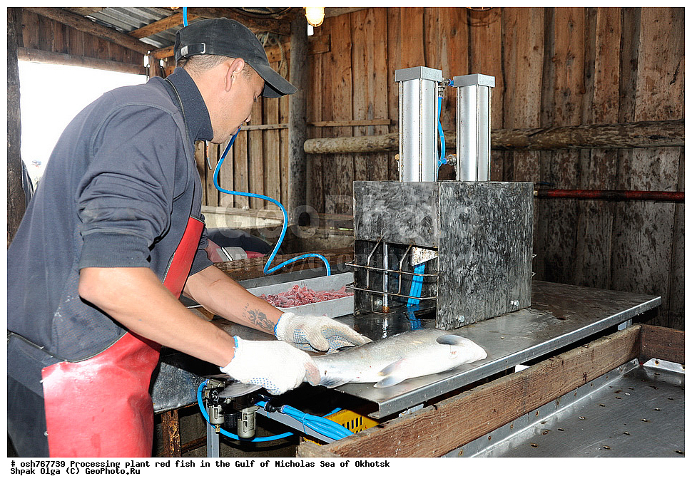 ���, �����������, ����, ������� ����, ����, �����, �������� ����, ����� �������, ����