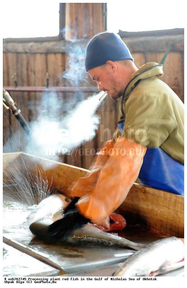 ���, �����������, ����, ������� ����, ����, �����, �������� ����, ����� �������, ����