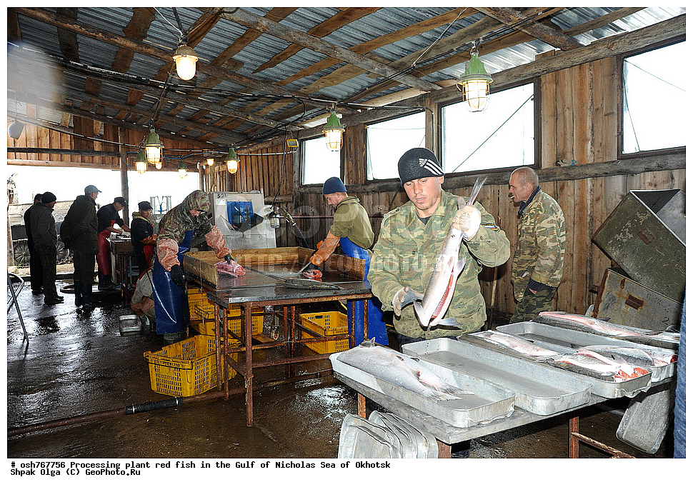 ���, �����������, ����, ������� ����, ����, �����, �������� ����, ����� �������, ����