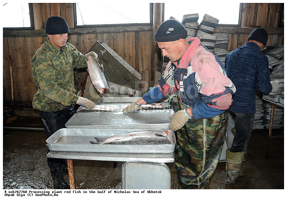 ���, �����������, ����, ������� ����, ����, �����, �������� ����, ����� �������, ����