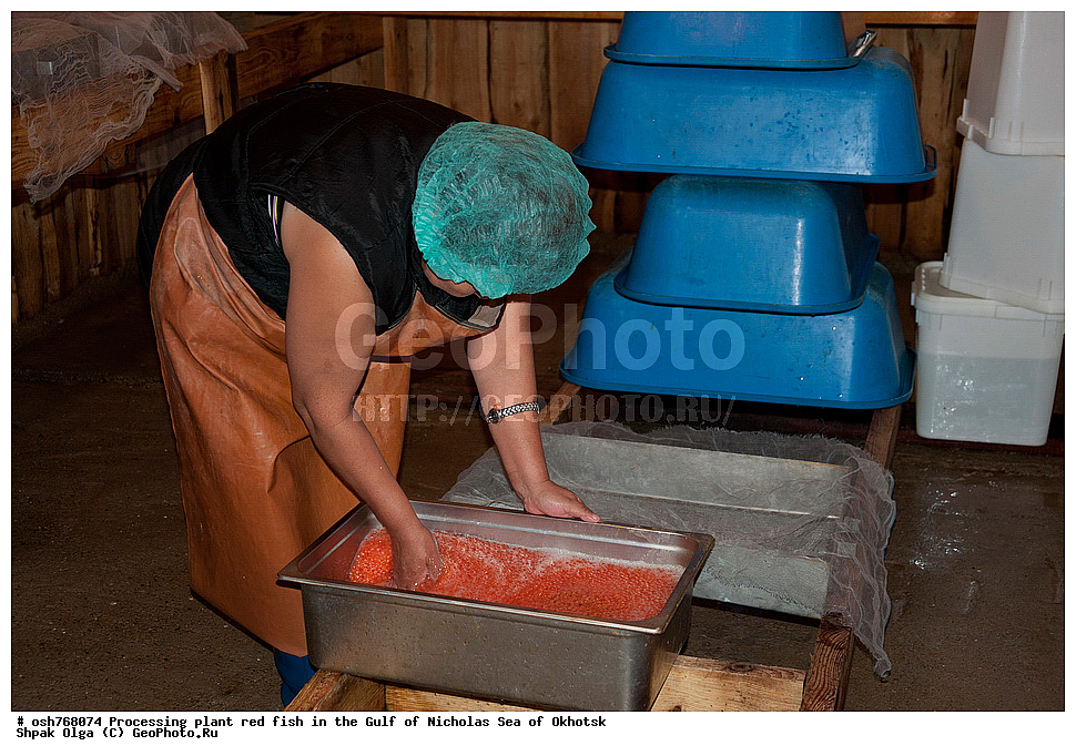 ���, �����������, ����, ������� ����, ����, �����, �������� ����, ����� �������, ����