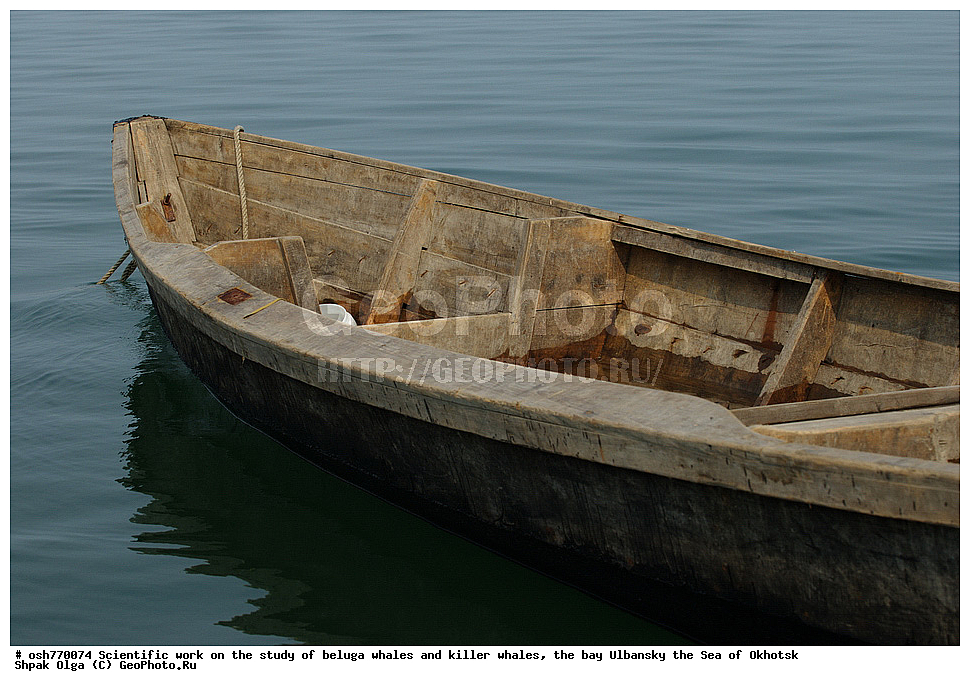 ������� ������, �����, ��������, ������, �������, �����, ����������, ����, ��������, ����