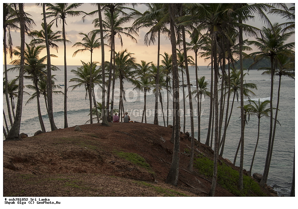 ���������, �������, ���-�����, ��������������� ���������������� ���������� ���-�����, ������ 