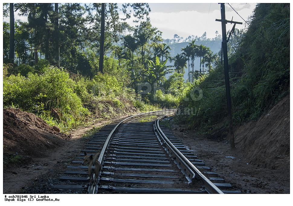 �������� ������, ���-�����, ��������������� ���������������� ���������� ���-�����, ������ 