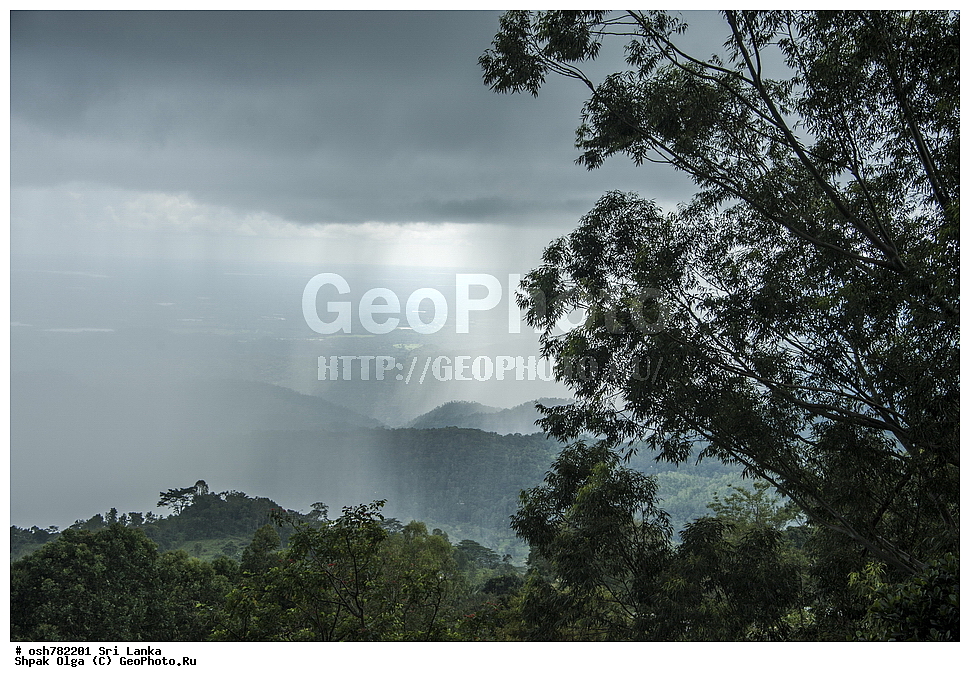 ������ ��������, ���������, ������, ������ ���������, ����������� ����� �������, ���-�����, ��������������� ���������������� ���������� ���-�����, ������ , ����, ����������� ����