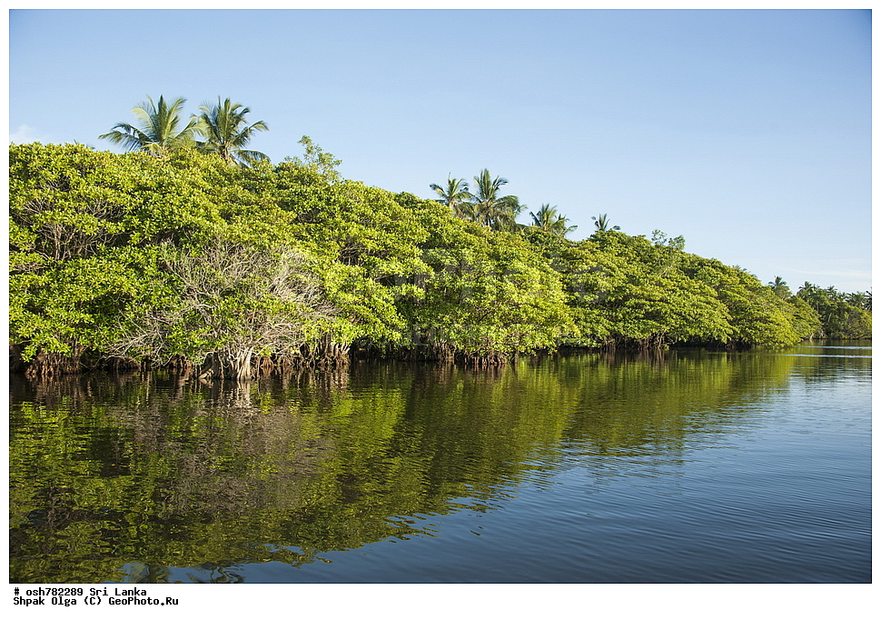 ��������� �������, ������, ����� ��������, �������, ���-�����, ��������������� ���������������� ���������� ���-�����, ������ 