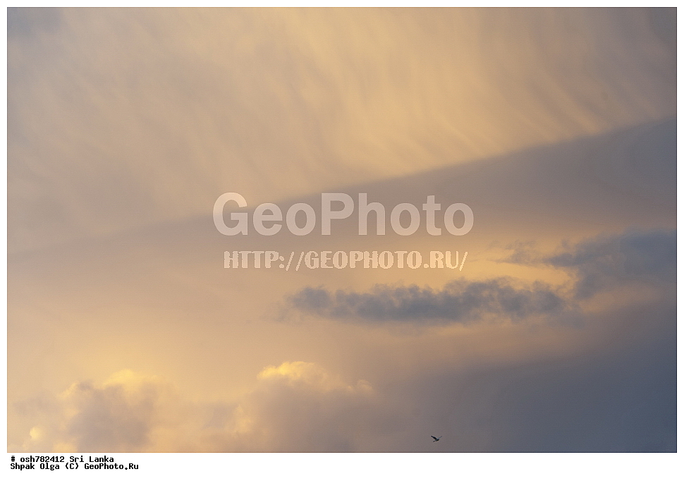 ��������� �������, ������, ����� ��������, �������, ���-�����, ��������������� ���������������� ���������� ���-�����, ������ , ����, ����������� ����