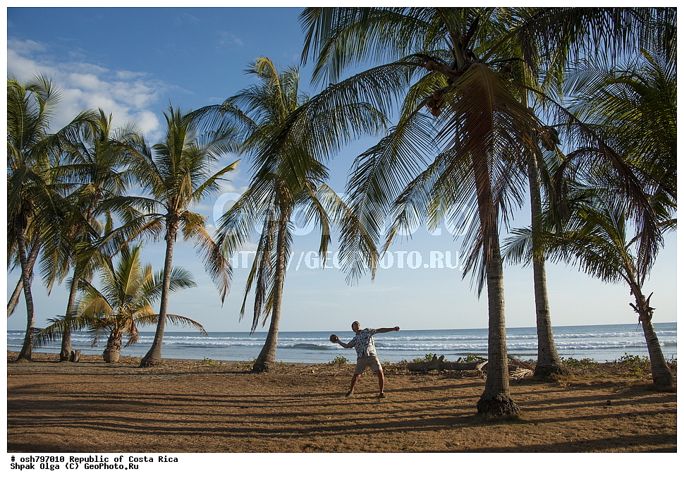  ��������� ������, ����� �����, ���������, �����, �����-����, ���������� �����-����, ��������� �������, ����������� �������, �������, ������ ��������, �����, ��������,  ���������� ��������, ����������� ��������, ����������� ��������, ������������ ��������, ������������ ��������, XYZ, ���������, ������, ��������, �r�������, Palmae, Palmaceae, ��������� ������, Cocos nucifera