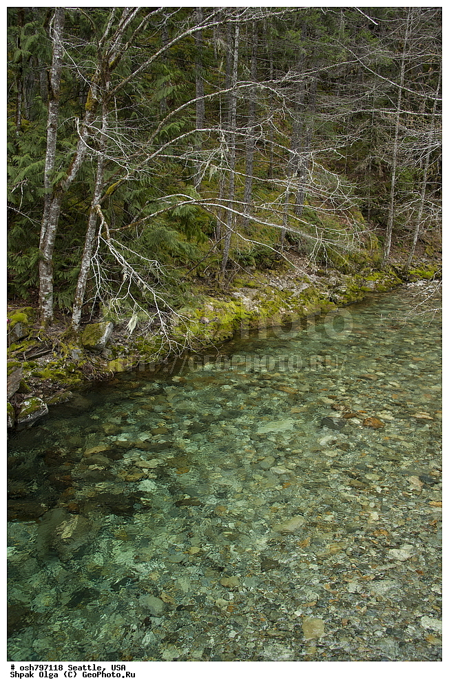 �������� ������, ���������, �����, ������, �����, �����, ���������, ����, ���, �����