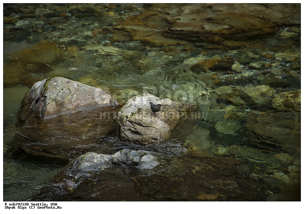 �������� ������, ���������, �����, ������, �����, �����, ���������, ����, ���, �����