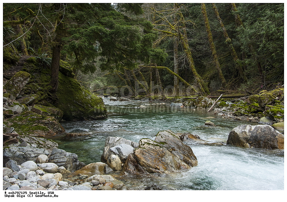 �������� ������, ���������, �����, ������, �����, �����, ���������, ����, ���, �����