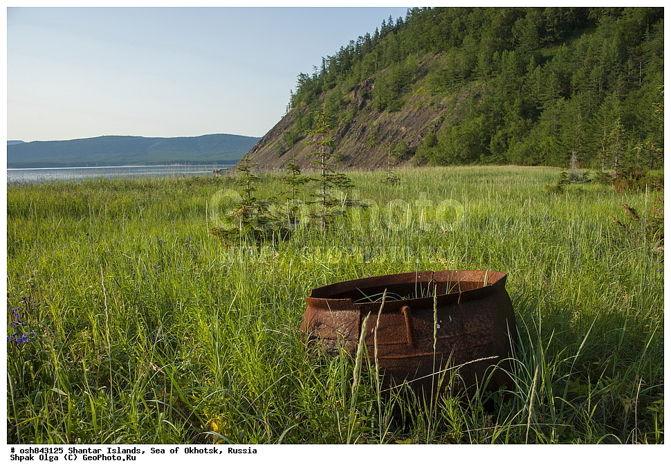 ���������, ���������� ����, ����� �����, ��������� �����, ������������ ����, ���������� �������, �������, ����������� ����, �������� ����, ����� �����, ������