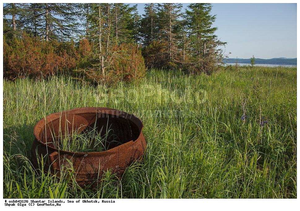 ���������, ���������� ����, ����� �����, ��������� �����, ������������ ����, ���������� �������, �������, ����������� ����, �������� ����, ����� �����, ������