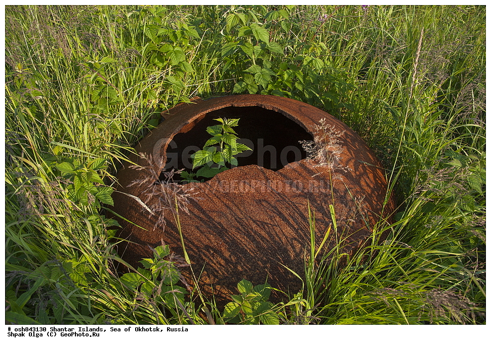 ���������, ���������� ����, ����� �����, ��������� �����, ������������ ����, ���������� �������, �������, ����������� ����, �������� ����, ����� �����, ������