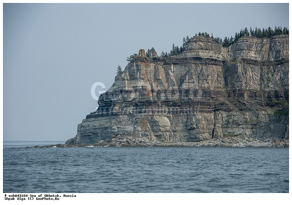 ��� ����� ��������, ������ ����, ���������� �������, �������, ����������� ����, �������� ����, ����� �����, ������