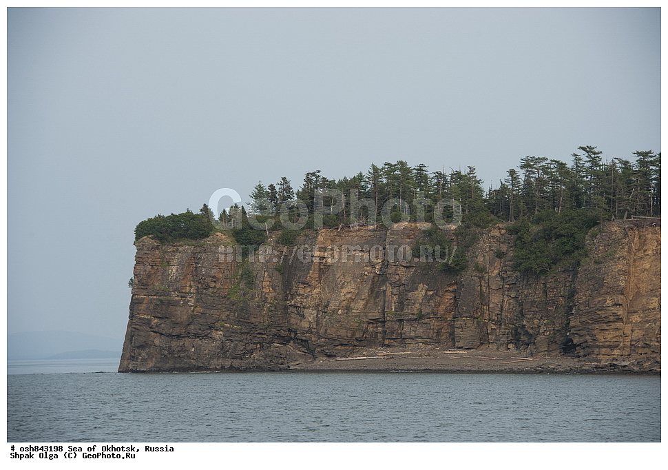 ������� ������, ������ ����, ������������ ����, ���������� �������, �������, ����������� ����, �������� ����, ����� �����, ������