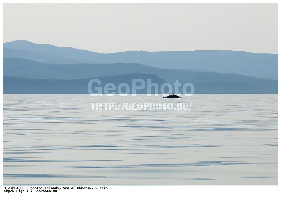 �������������� ���������, ����, ������������, ������������ ����, ���������� �������, �������, ����������� ����, �������� ����, ����� �����, ������