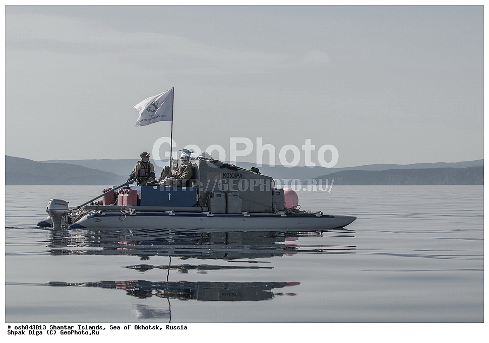 �������������� ���������, ����, ������������, ������������ ����, ���������� �������, �������, ����������� ����, �������� ����, ����� �����, ������