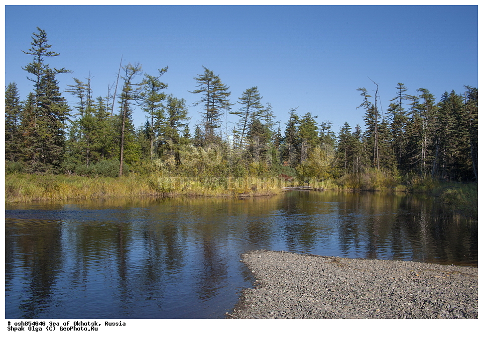 ������ ���������, ��������� �����, ���������� �����, ���������� �������, �������, ����������� ����, �������� ����, ����� �����, ������