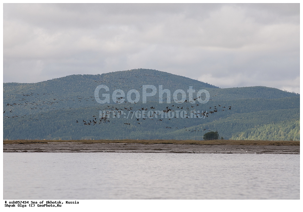 �����, ���������� �����, ���������� �������, �������, ����������� ����, �������� ����, ����� �����, ������