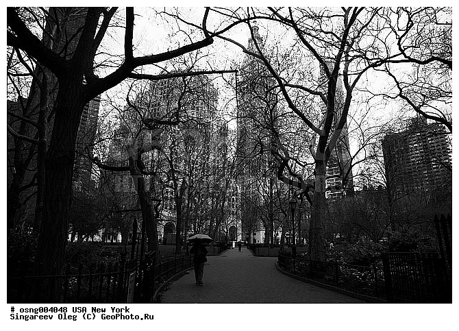 ���-����, �����, ����, �������