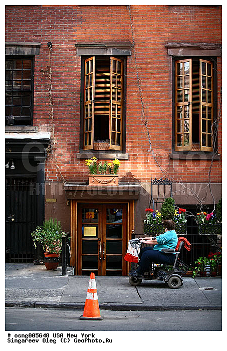 ���-����, �������, �����