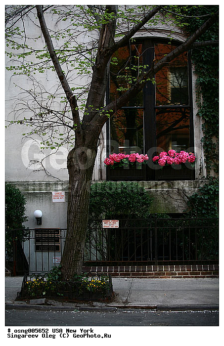 ���-����, ������, �����