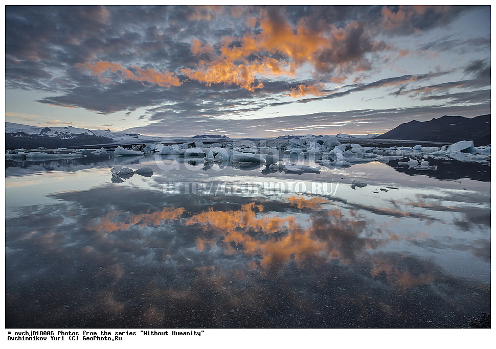 ������, ɸ������������, ��������, ������, 2013