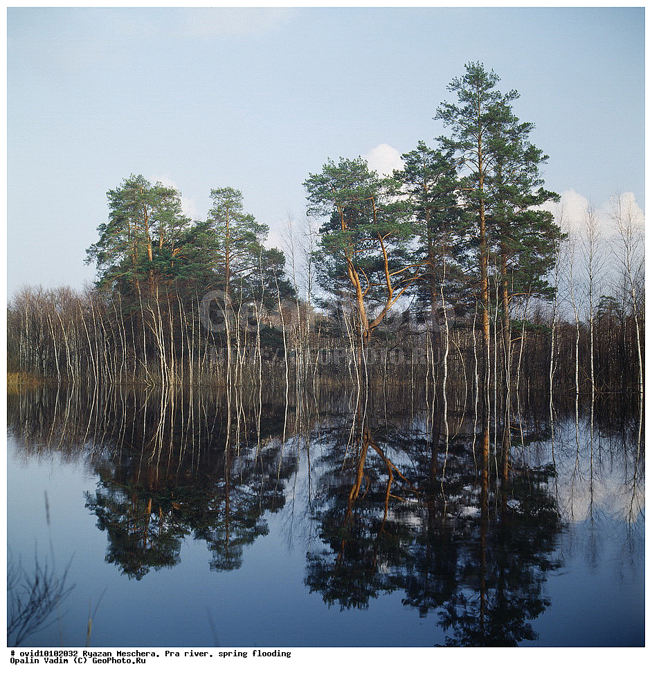 ��������� �������, ������, ����, ���, �������� �������