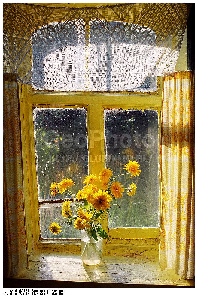 �������� ����������, �����, �����-����������, ���������� �������, ���������