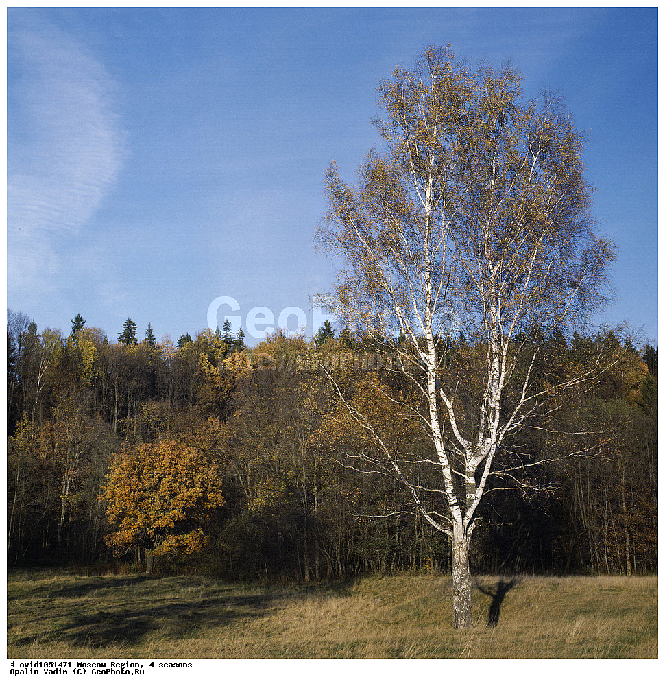 �������� ����������, �����, �����-����������, ���������� �������, 4 ������