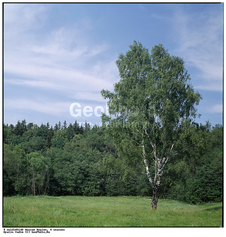 �������� ����������, �����, �����-����������, ���������� �������, 4 ������