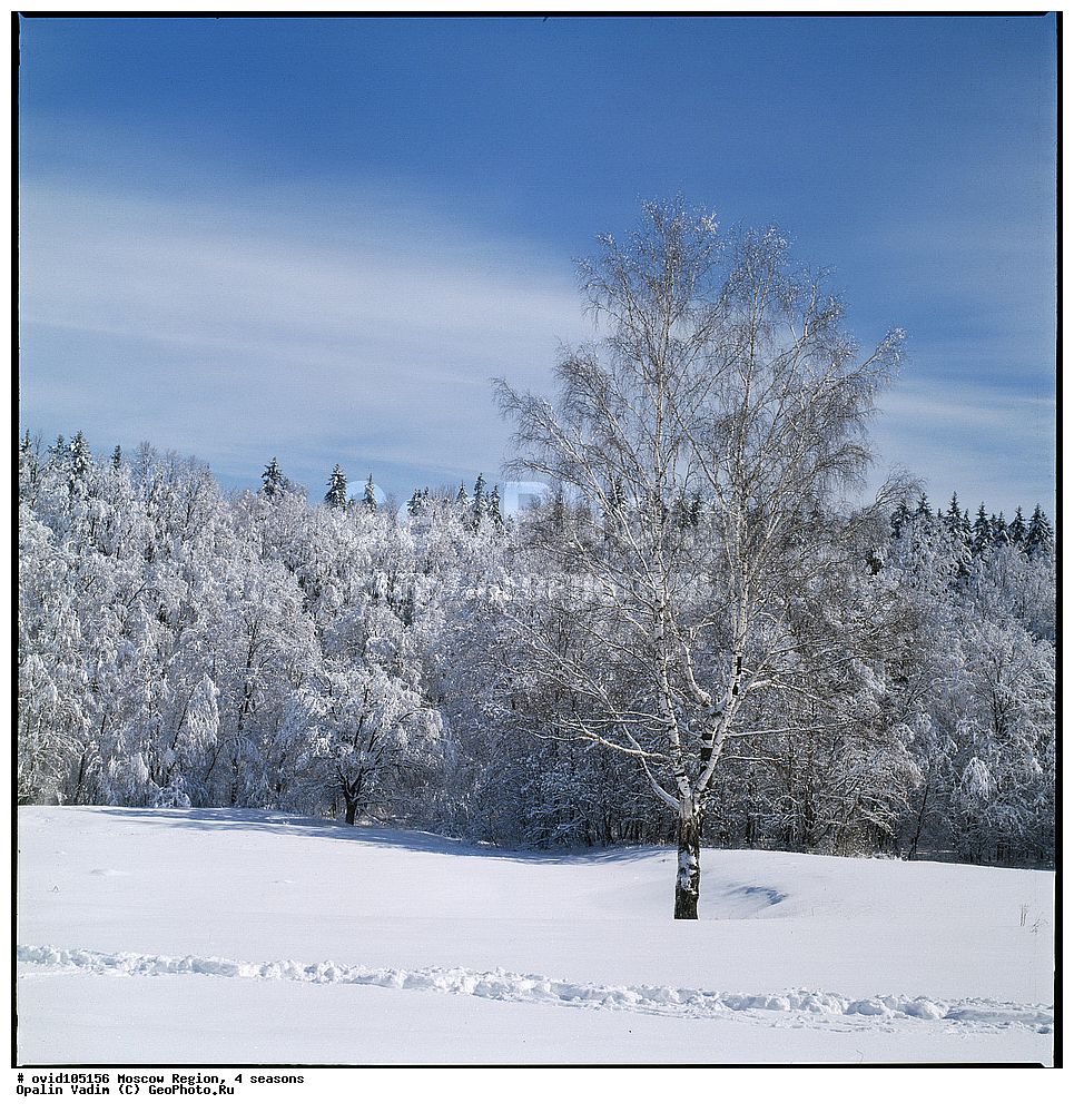 �������� ����������, �����, �����-����������, ���������� �������, 4 ������