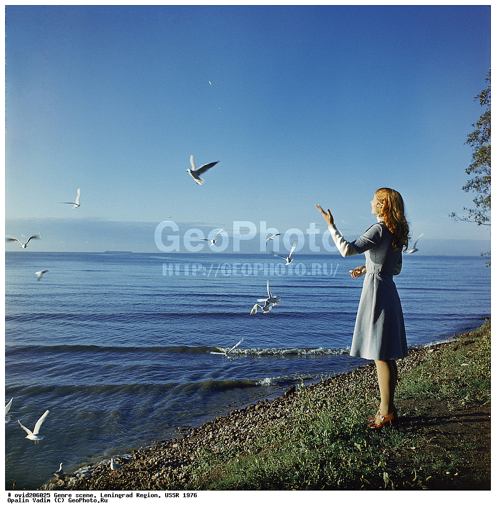 ����, 1976 �, ����,  ������������� �������