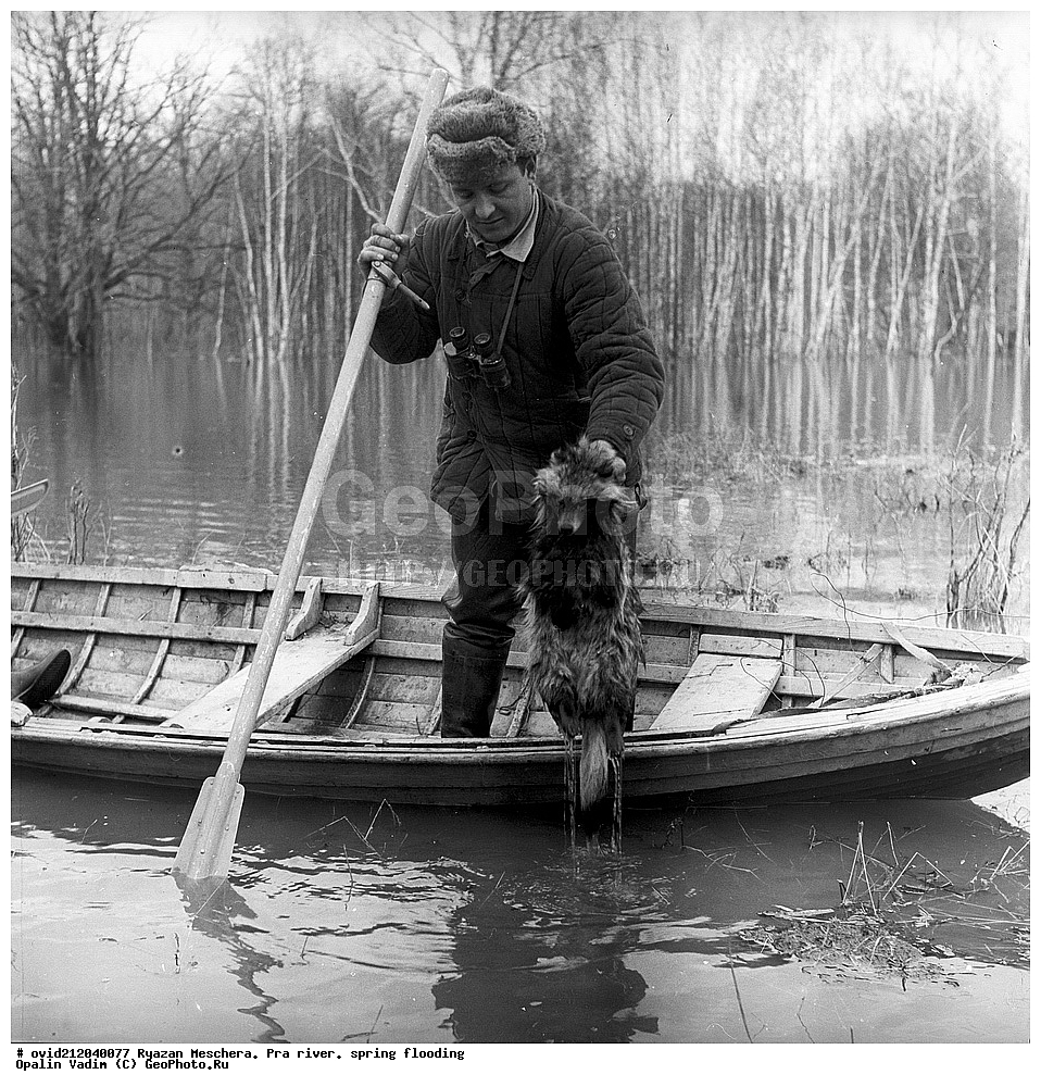 ��������� �������, ������, ����, ���, �������� �������