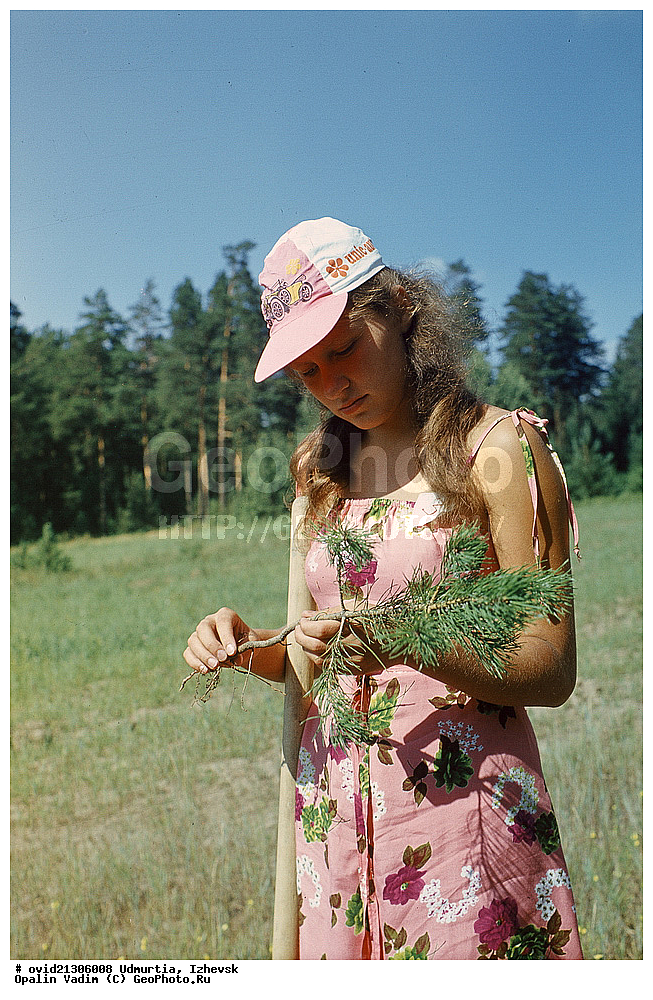 �������� ����������, �����, �����-����������, ��������, ������