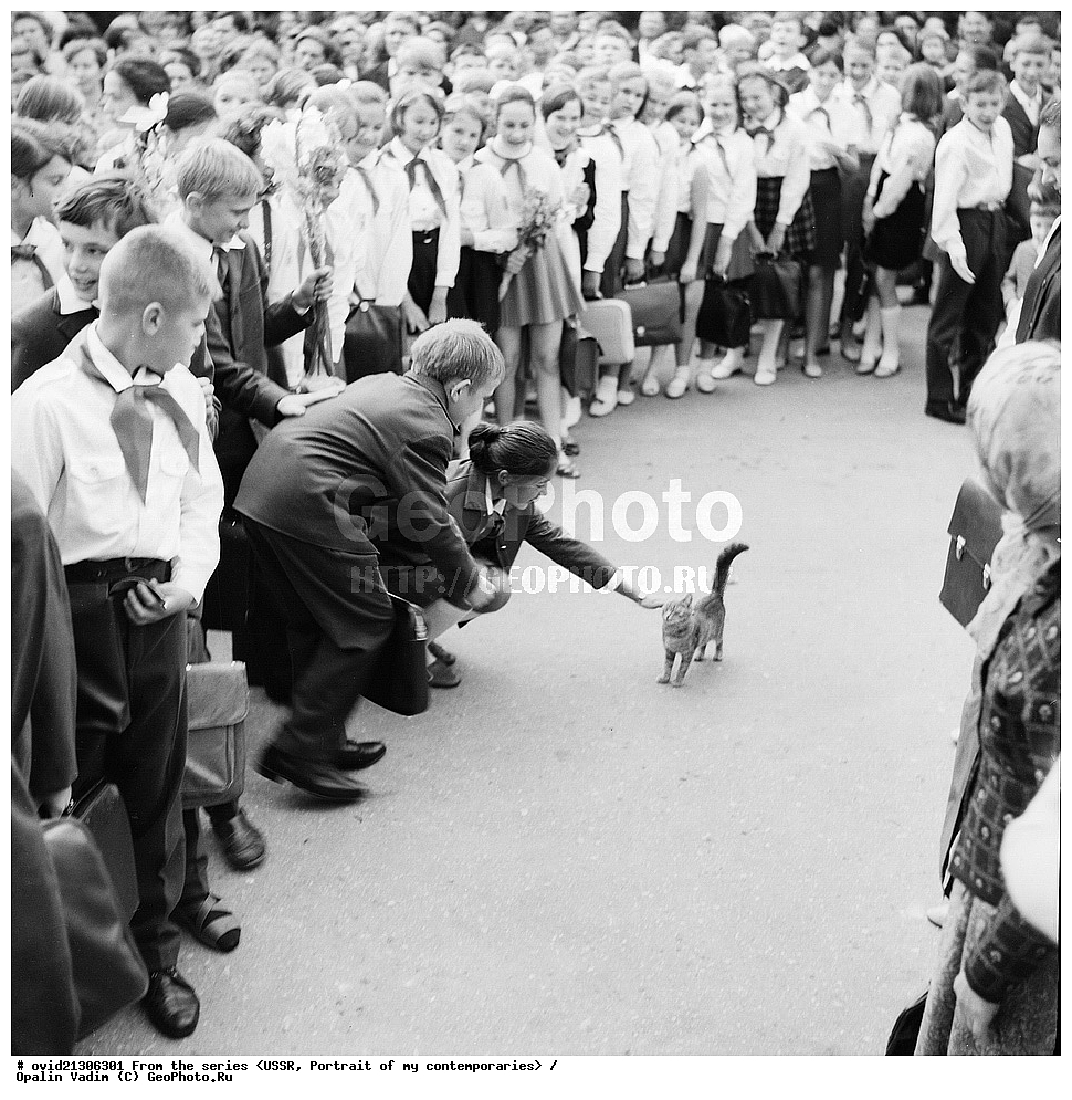 ����, ��������, ������������, ��������� ����