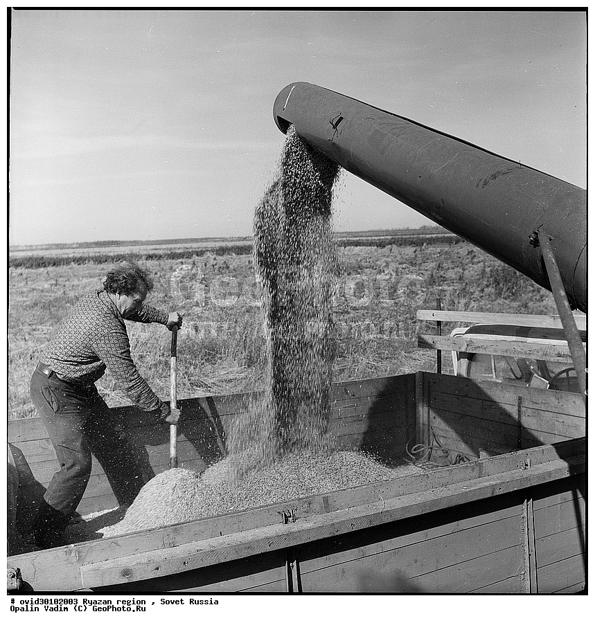 ������ ��������� ����, 1976 ���, �������� ���������, ��������� �������, ����������� �����,  ������, ��������, �����, ����, �����, ��������, �������, �����, ������, ��������, ������� ������