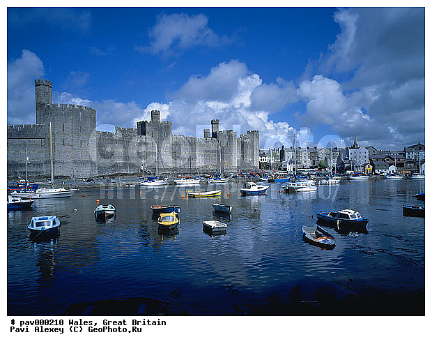 ��������������, ��������, �����, �����, �����, �����, ����, ����