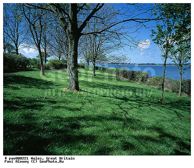 ��������������, �����, ������