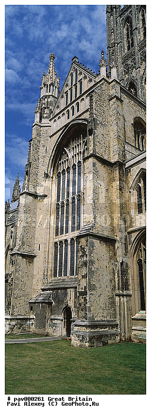 ��������������, ����������